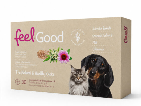 feel good